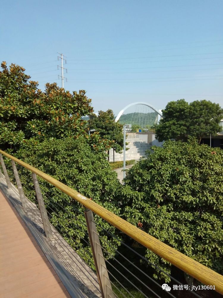 金太阳2017手机版(金太阳手机版下载官方网站)