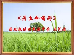 为生命喝彩手机铃声版(下载铃声设为来电铃声)-第2张图片-QuickQ官网